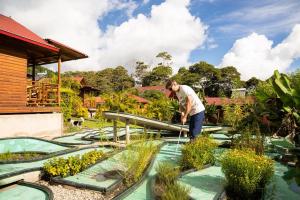 a man standing in the middle of a garden at Chontaqui Eco-Lodge in Oxapampa
