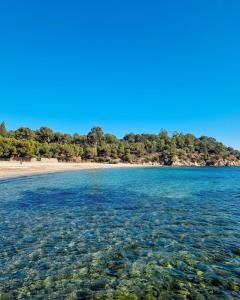 une plage avec de l'eau claire et des arbres en arrière-plan dans l'établissement Charmant Studio, à La Londe-les-Maures