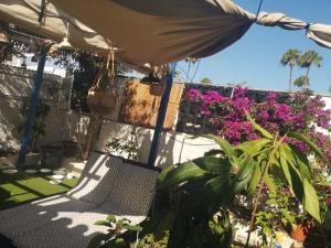 a patio with a table and an umbrella and some plants at Yumbo room in Maspalomas
