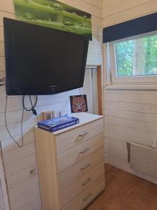 a tv on top of a dresser in a tiny house at Maamaja puhkuseks in Kibuna
