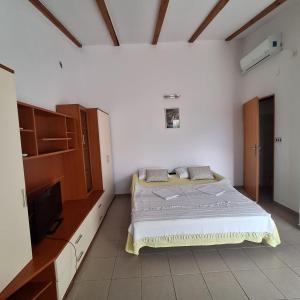 sypialnia z łóżkiem i telewizorem w obiekcie Studio apartman Vera w Ražancu