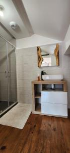 un bagno con doccia e lavandino di Villa Papillons Narbonne Centre a Narbonne Altre 15 foto