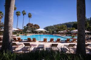una piscina con sedie, ombrelloni e palme di Bendito Cacao Family Resort ad Águas de Lindóia