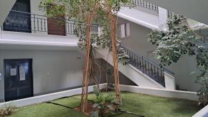a tree in the courtyard of a building at Limpi's Cozy Place in Sparti