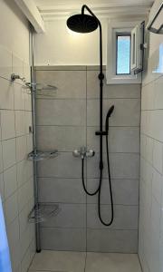 a shower with a shower head in a bathroom at Armonia Apartment Spartia in Spartià +18 photos