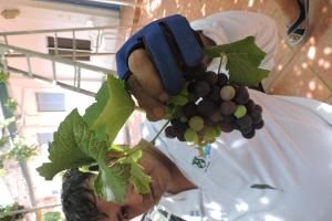 a man is holding a bunch of grapes at HOTEL COLONIAL in Barrancabermeja