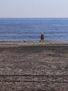 a person walking on a beach near the ocean at No.21 BERMUDA in Hemsby