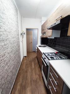 Kuchyň nebo kuchyňský kout v ubytování Grey Deluxe Apartman Kaposvár