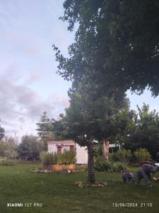Vonkajšia záhrada v ubytovaní LES GORGES DU VERDON chalet