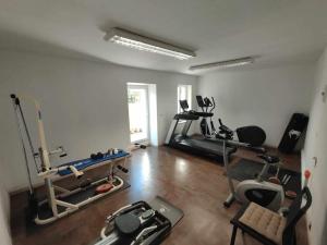 Fitness centrum a/nebo fitness zařízení v ubytování La maison de Félix