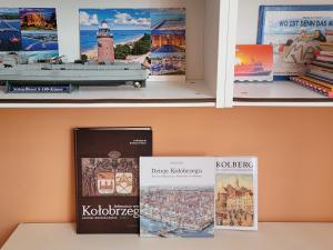 Fotografia z galérie ubytovania Apartament nad Parsętą w centrum - prywatne miejsce postojowe & dwa rowery v destinácii Kołobrzeg