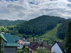 山景或在民宿看到的山景