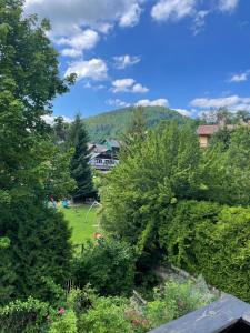 山景或在民宿看到的山景