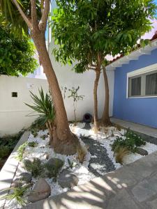 a garden with two trees and rocks and a building at Gaia Apartments in Hanioti