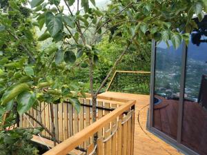 Balcone o terrazza di Ajara Glamping Kokotauri