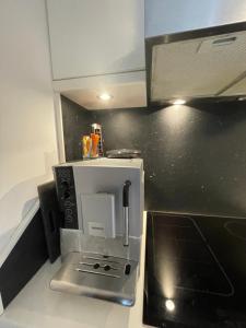 Kuchyň nebo kuchyňský kout v ubytování Ferienwohnung am Seeblick