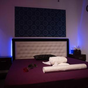 Fotografie z fotogalerie ubytování LuxInn v Bukurešti + 16 fotografií