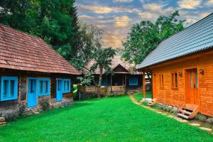 a yard between two houses with green grass at Casa Visovan in Sighetu Marmaţiei