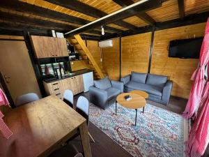 a living room with a couch and a table at Vikendica KaNo in Ždrijelo