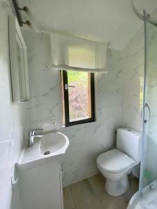 een witte badkamer met een toilet en een wastafel bij Leśny Domek in Kopalino