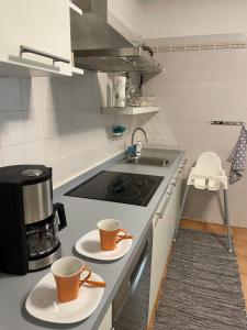 Kuchyň nebo kuchyňský kout v ubytování Casa Ambra, 50m vom Comer See, 2 private Parkplätze