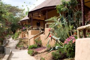 Masai Mara Sopa Lodge في Ololaimutiek: حديقة فيها جلسة امام مبنى