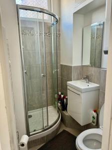 a bathroom with a shower and a toilet and a sink at Studio au coeur du centre historique in Dijon