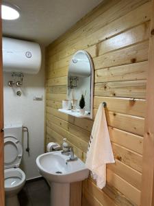 un bagno con lavandino, water e specchio di Apartman Jegdic-Zabljak a Žabljak