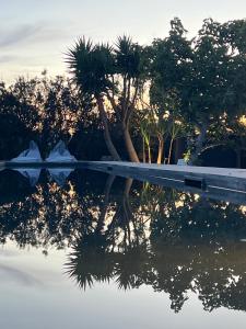 Foto dalla galleria di Green House a Ustica Altre 30 foto