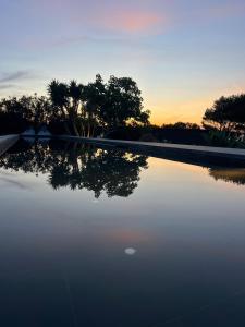 Foto dalla galleria di Green House a Ustica