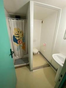 a small bathroom with a shower and a toilet at les moulins - studio 6 in Cherbourg en Cotentin