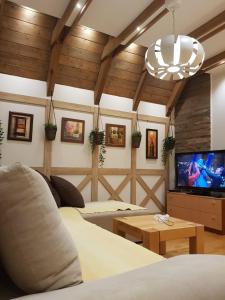 TV i/ili multimedijalni sistem u objektu API komora Zlatibor