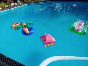 a pool with inflatable toys in the water at Варвара- Ятрус in Varvara