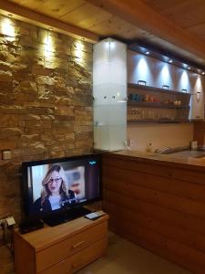Televízia a/alebo spoločenská miestnosť v ubytovaní API komora Zlatibor