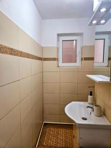 a bathroom with a sink and a window at Harmony Oasis in Gheorgheni