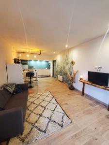 Kuchyň nebo kuchyňský kout v ubytování appartement hôtes entier Millau Compeyre
