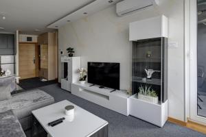 a living room with a tv and a couch at Lux Mila with Free Private parking in Novi Sad