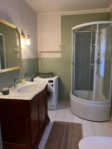 a bathroom with a shower and a sink at Villa Nostalgia in Bergen