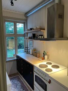 a kitchen with a stove and a counter top at Villa Nostalgia in Bergen +12 photos