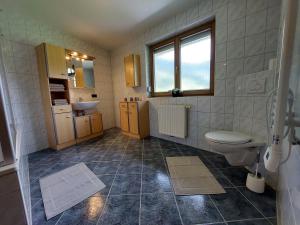 a bathroom with a toilet and a sink at Landhaus Irena - Familienfreundliches Ferienhaus an der Zillerpromenade mit Bergblick in Ramsau im Zillertal
