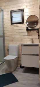 a bathroom with a toilet and a sink and a window at Domki Letniskowe NAD ŚNIARDWAMI BARBARA MAJKRZAK in Nowe Guty +73 photos