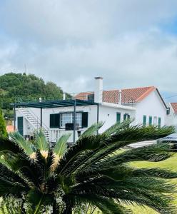 ein weißes Haus mit einer Palme davor in der Unterkunft Casa da Fajã in Ponta Delgada