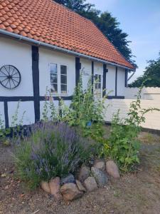 a garden in front of a white house at Violen in Åkirkeby