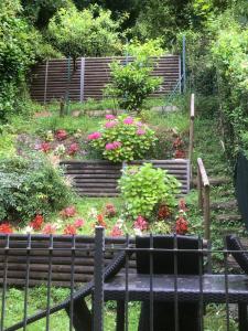 Zahrada ubytování Casa Ambra, 50m vom Comer See, 2 private Parkplätze