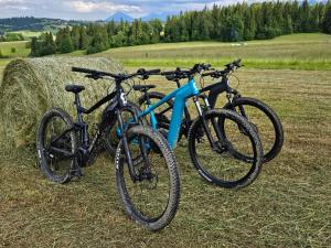 Jazda na bicykli v okolí ubytovania Domek Pana Jana