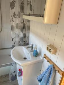 a bathroom with a sink and a shower at Przyczepa holenderska domek I in Przemysław