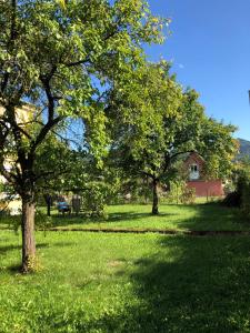 due alberi in un prato con una casa di Löwenzahn a Scheibbs