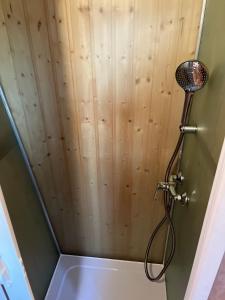 a shower in a bathroom with a wooden ceiling at Tiny WandelRaum gGmbH in Frasdorf +33 photos
