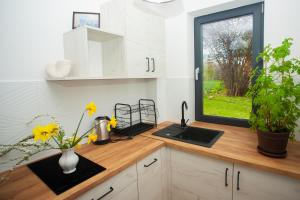 a kitchen counter with a sink and a window at Zakątek Rosa in Bereżnica Wyżna