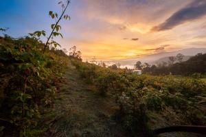 Billede fra billedgalleriet på La Tribuna de los Andes Cabin 2 i Arcabuco